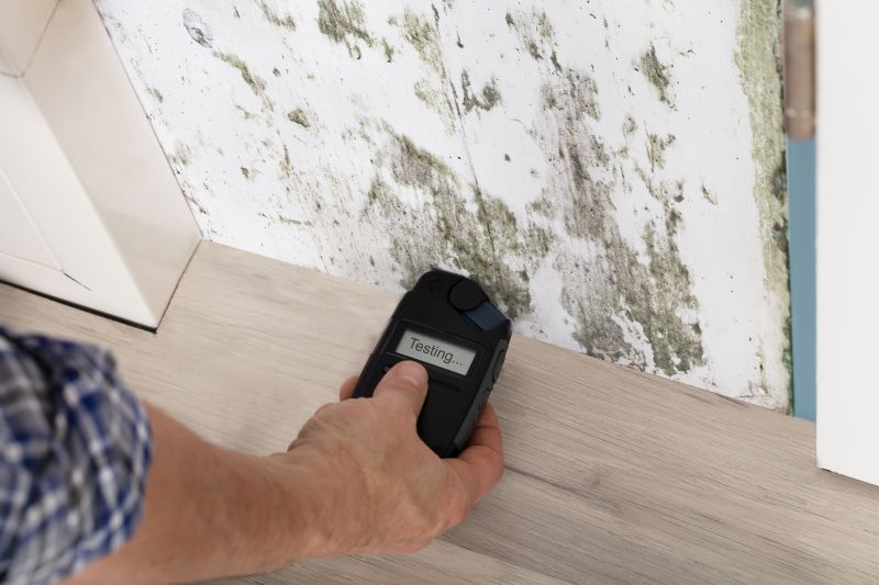 Mold Air Testing