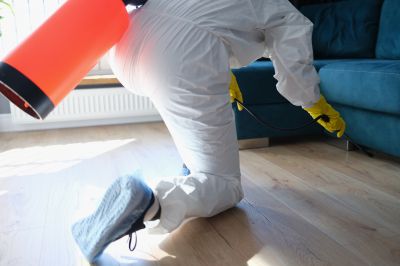 Flea Fumigation