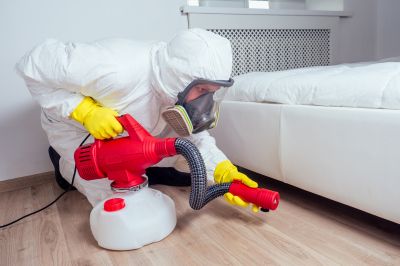 Fly Control Service