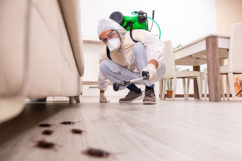 Fly Extermination